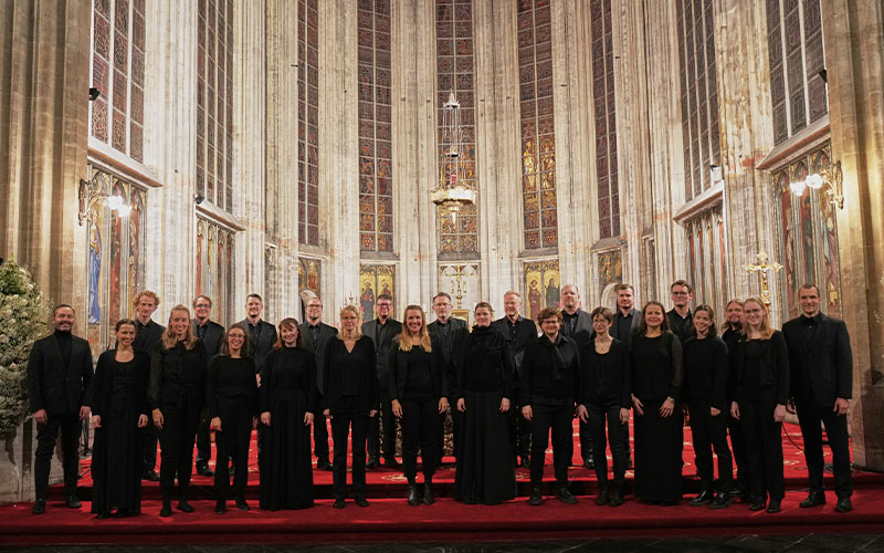 Der Kammerchor Hannover wurde 2007 von jungen Sängerinnen und Sängern unter der Leitung von Stephan Doormann gegründet.