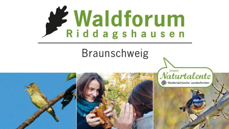 Veranstaltungen im Walderlebniszentrum Waldforum Riddagshausen