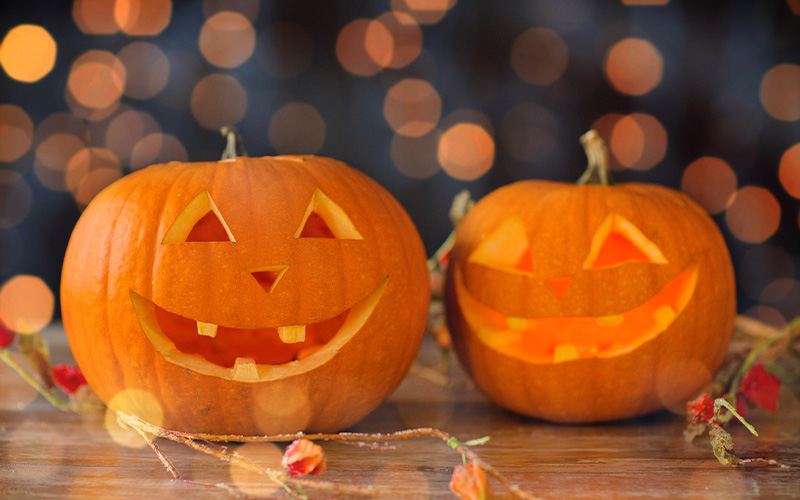 Das Naturerlebniszentrum Haus Entenfang, Nehrkornweg 2, lädt am Donnerstag, 31. Oktober, von 11 bis 16 Uhr zu einem Halloween-Aktionstag ein.