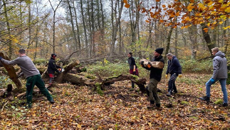 Wieder zahlreiche Teilnehmer bei Pflegemaßnahmen im Naturschutzgebiet Riddagshausen