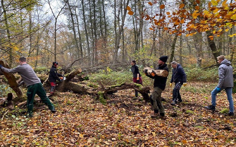 Am 09.11.2024 trafen sich über 30 Personen frühmorgens am Naturerlebniszentrum Haus Entenfang, um verschiedene Pflegemaßnahmen im Naturschutzgebiet Riddagshausen durchzuführen.