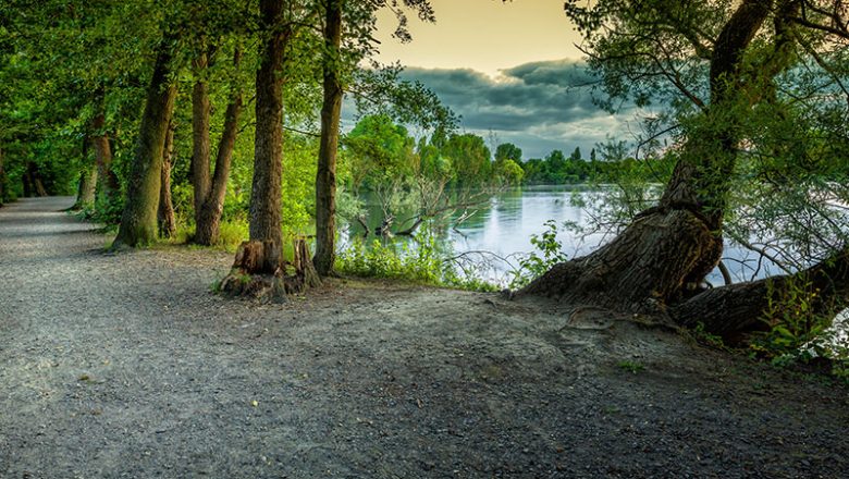 Abendwanderung mit der Rangerin in Riddagshausen