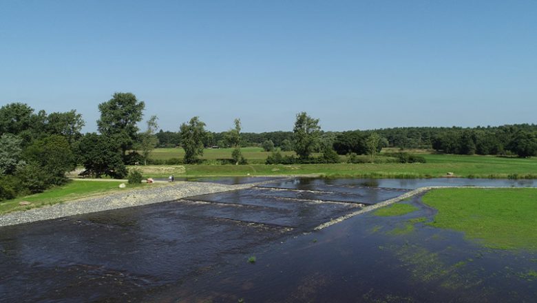 Naturnahe Entwicklung der Mittelaller: Forschungsprojekt KliGeW gestartet