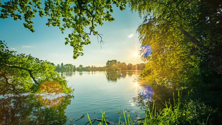 Nachtwanderung im Naturschutzgebiet Riddagshausen