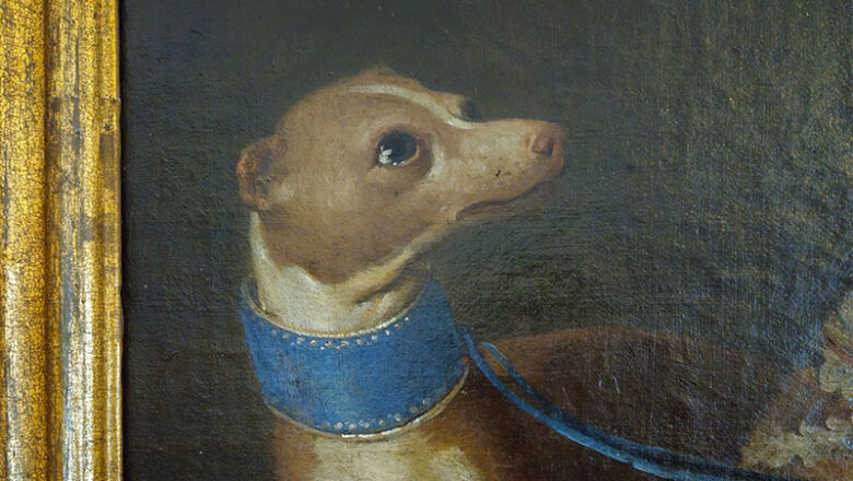 Spurensuche im Schlossmuseum
