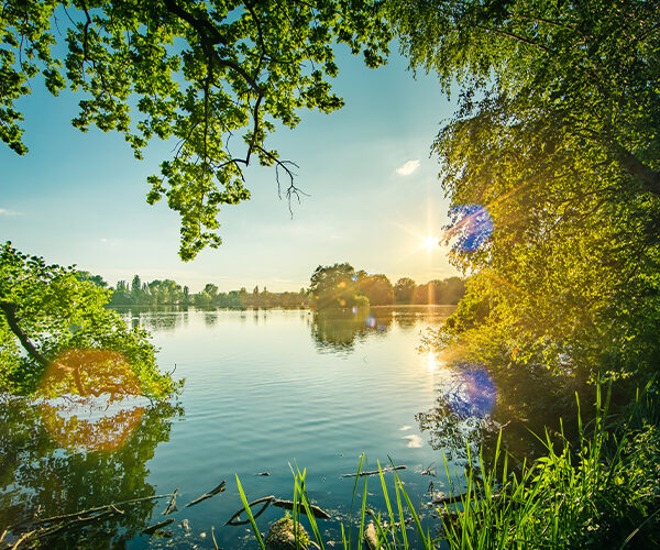 Die Natur mit allen Sinnen erleben in Riddagshausen