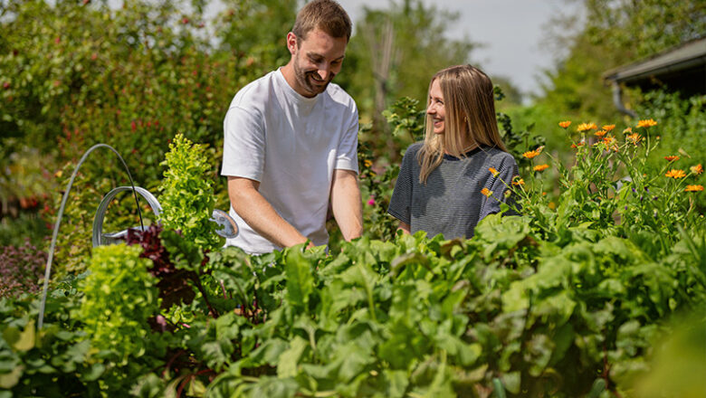 Gartenspaß auf Augenhöhe