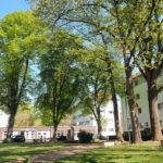 Stadtteilfest Bebelhof lädt zum Entdecken und Mitmachen ein