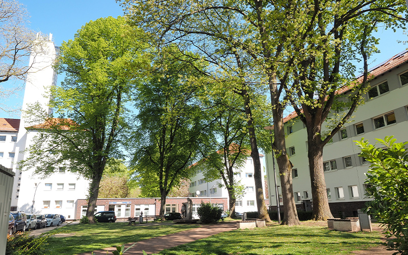 Stadtteilfest Bebelhof in Braunschweig lädt zum Entdecken und Mitmachen ein.