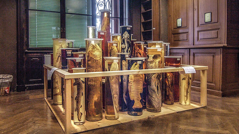 DOKfilm im Roten Saal zeigt „Archiv der Zukunft“