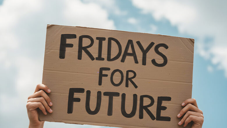 Fridays For Future Braunschweig: Klimaprotest am 14. November auf dem Schlossplatz