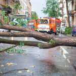 Pünktlichkeit und Arbeitszeit: Rechte, Pflichten und Praxis