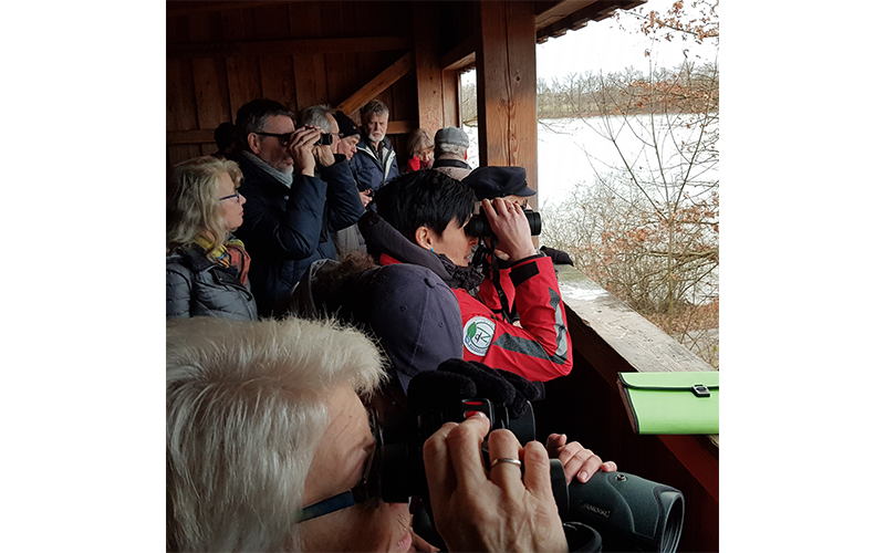 Auf unserer Neujahrswanderung im Naturschutzgebiet Riddagshausen wollen wir die winterliche Ruhe im Naturschutzgebiet genießen.