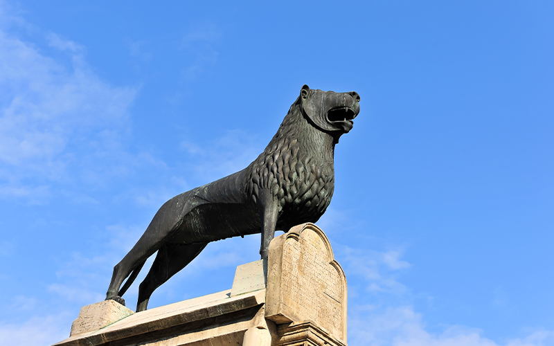 Die Stadt Braunschweig darf den Titel „Fairtrade-Stadt“ auch in den kommenden zwei Jahren weiterführen.