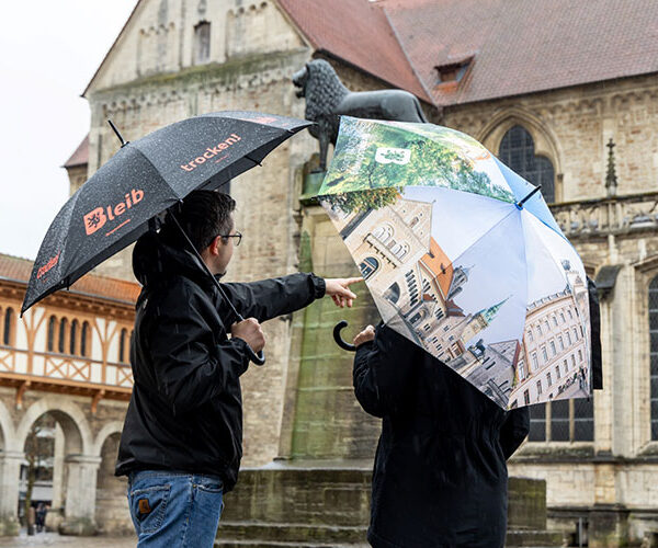 Die perfekte Begleitung für Regentage