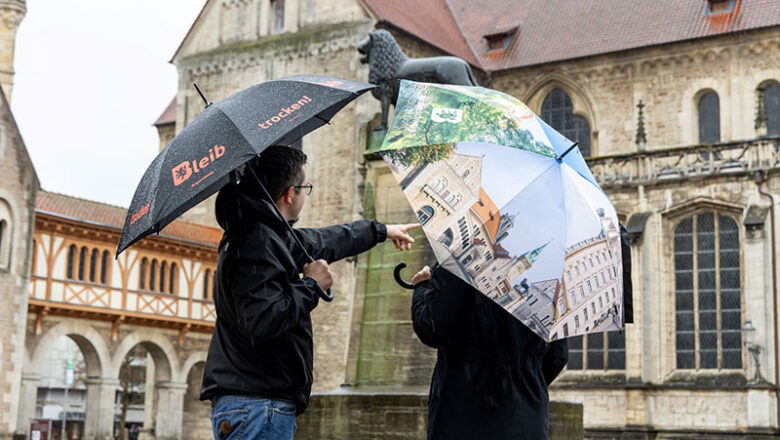 Die perfekte Begleitung für Regentage