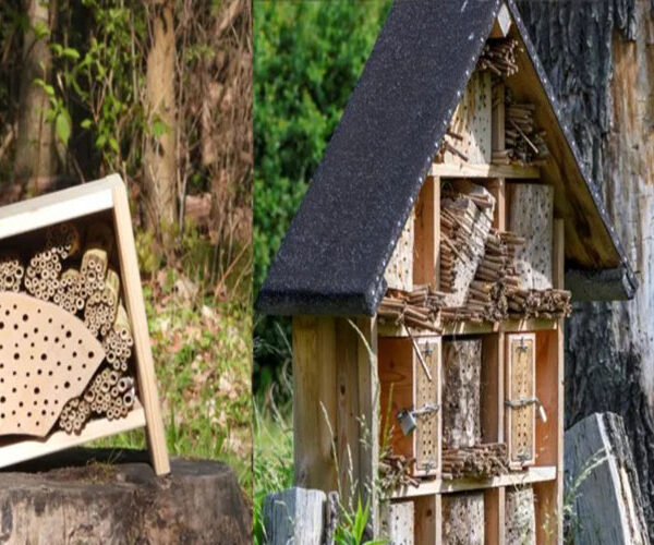 Wildbienen-Aktionstag im Haus Entenfang