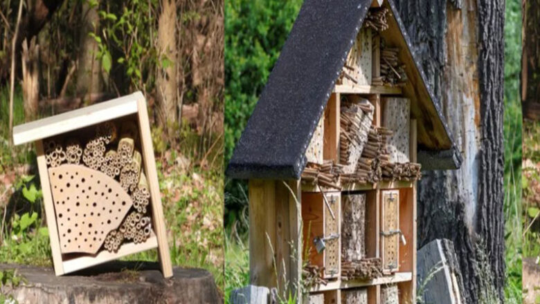 Wildbienen-Aktionstag im Haus Entenfang