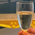 Sekt und Sammlung im Schlossmuseum Braunschweig