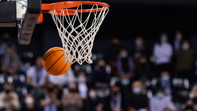 Basketball Löwen Braunschweig News 