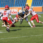 Braunschweig Lions finden gegen starke Royals kein Mittel