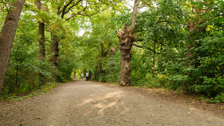 Mit der Rangerin in Riddagshausen: Die Natur mit allen Sinnen erleben