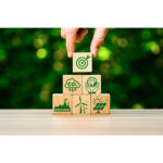 Nachhaltig, lebenswert, resilient: So begegnet Braunschweig dem Klimawandel