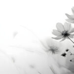 Beisetzung der Sternenkinder am Samstag, 5. September