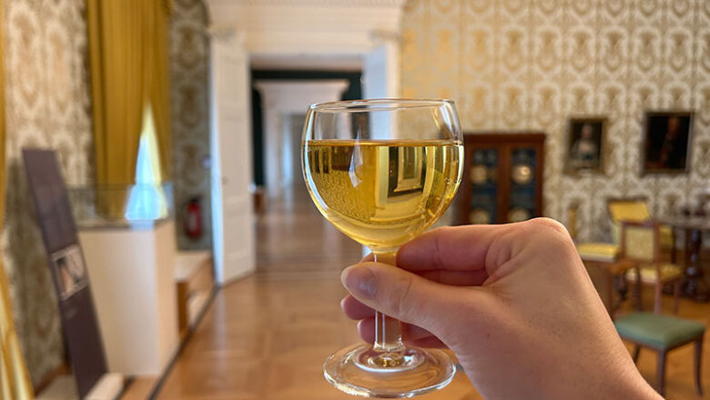 Historische Weinführung im Schlossmuseum Braunschweig mit Andreas Schwarz